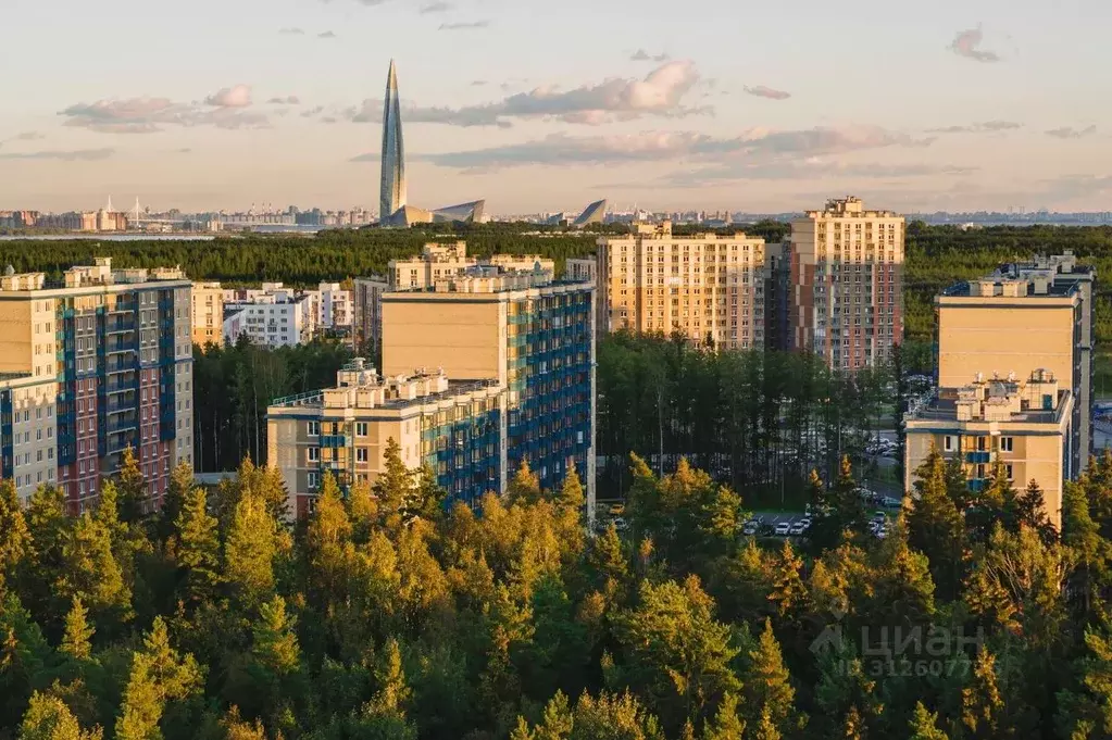 2-к кв. Санкт-Петербург ул. Ивинская, 9 (51.6 м) - Фото 1