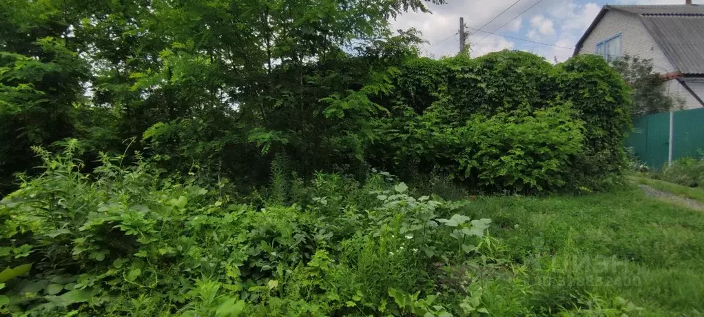 Участок в Воронежская область, Воронеж Память Мичурина СНТ, ул. ... - Фото 1