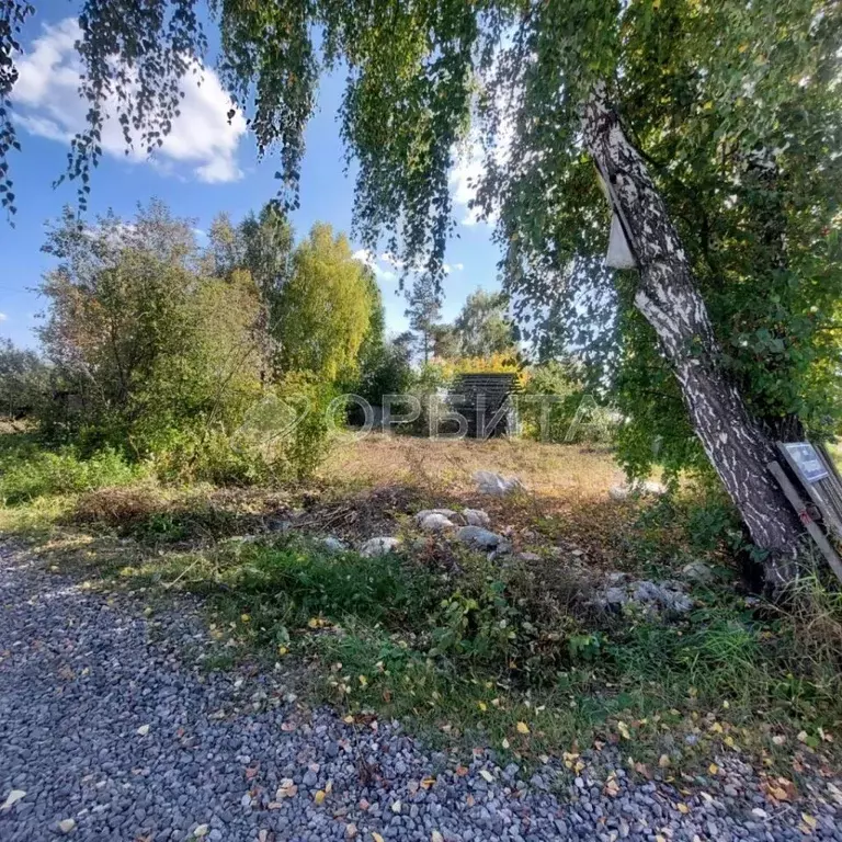 Участок в Тюменская область, Тюмень Солнечное СНТ, ул. Вишневая (6.97 ... - Фото 2