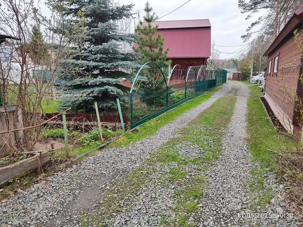 Участок в Свердловская область, Екатеринбург Пенсионер-2 СТ,  (5.0 ... - Фото 0