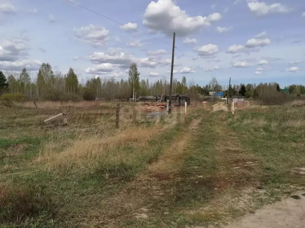 Участок в Тюменская область, Нижнетавдинский муниципальный округ, ... - Фото 1