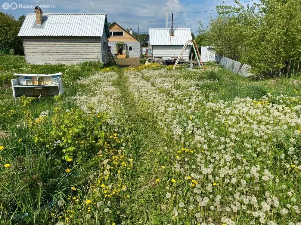 Участок в Новоснежнинское муниципальное образование, посёлок Мурино ... - Фото 1