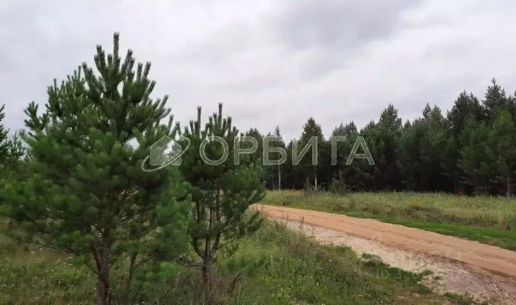 Участок в Тюменская область, Нижнетавдинский район, пос. Мияги  (10.0 ... - Фото 0
