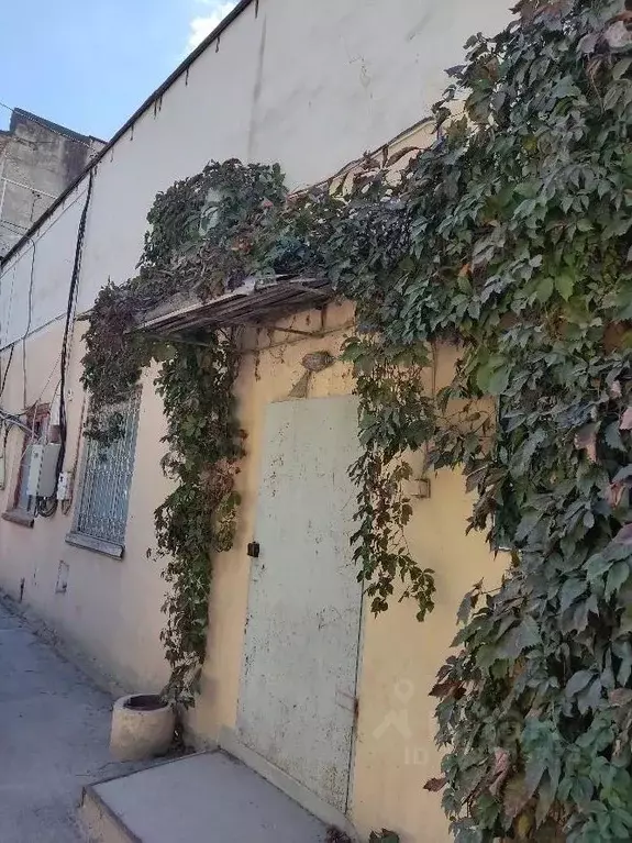 Помещение свободного назначения в Крым, Алушта ул. Виноградная, 32 (19 ... - Фото 1