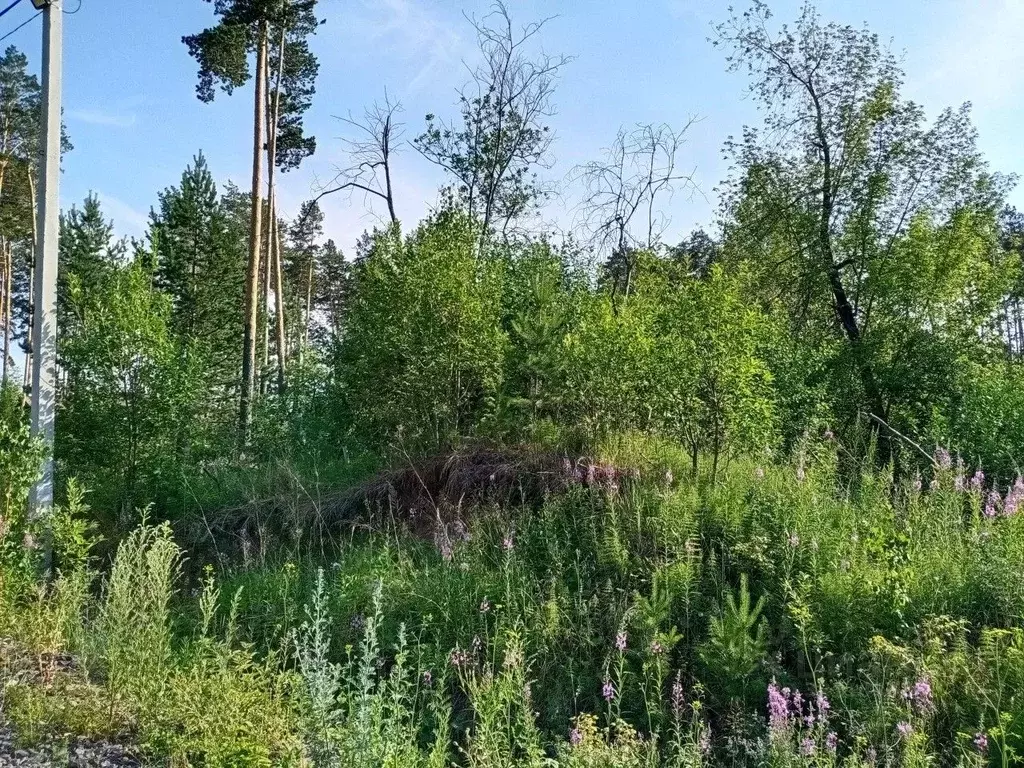 Участок в Свердловская область, Екатеринбург Усадьба-Лес ДНП,  (14.4 ... - Фото 2