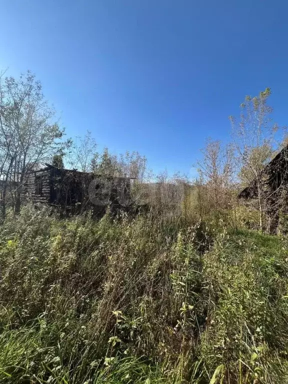 Участок в Алтай, Майминский район, с. Соузга Трактовая ул., 33 (12.0 ... - Фото 1