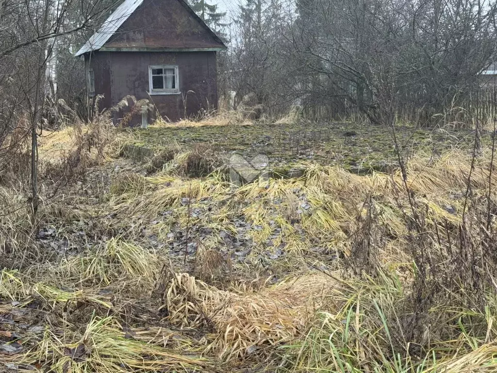 Участок в Ленинградская область, Тосненский район, Рябовское городское ... - Фото 0