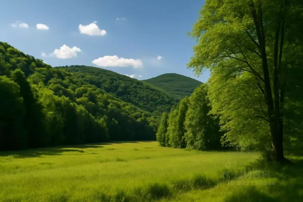 Участок в Краснодарский край, Туапсинский муниципальный округ, с. ... - Фото 2