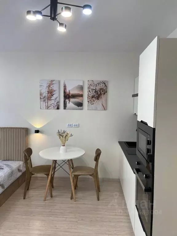 Студия Свердловская область, Екатеринбург ул. Фрунзе, 31/2 (25.0 м) - Фото 1