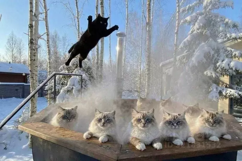 Дом в Московская область, Клин городской округ, ДНП Радости Парк 1 ... - Фото 2