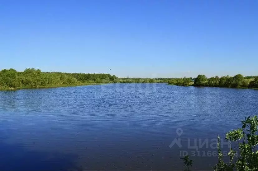 Участок в Московская область, Раменский городской округ, пос. ... - Фото 1