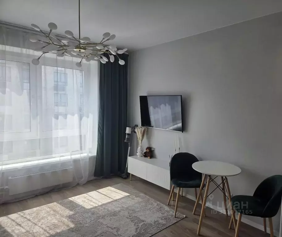 Студия Москва 1-й Грайвороновский проезд, 13к4 (21.5 м) - Фото 2