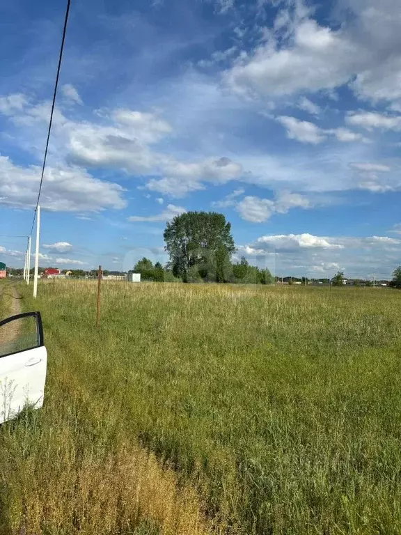 Участок в Ростовская область, Багаевское с/пос, Орион СНП ул. ... - Фото 1