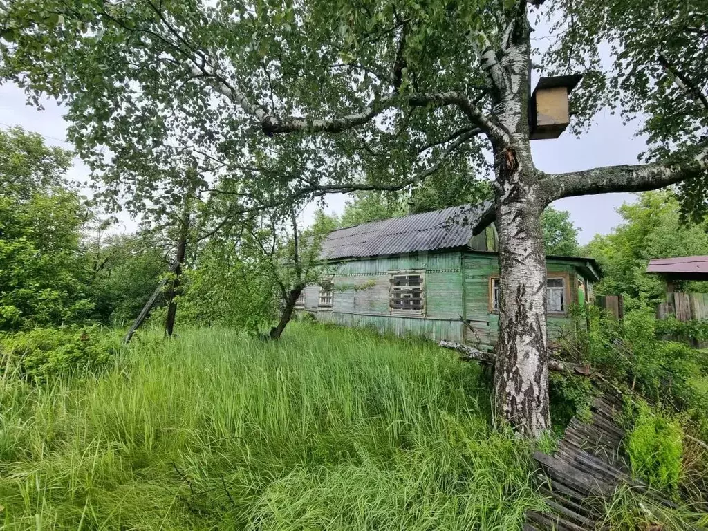 Дом в Тамбовская область, Рассказовский муниципальный округ, пос. ... - Фото 0