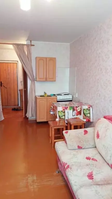 Студия Башкортостан, Уфа Молодежный бул., 6 (17.0 м) - Фото 2