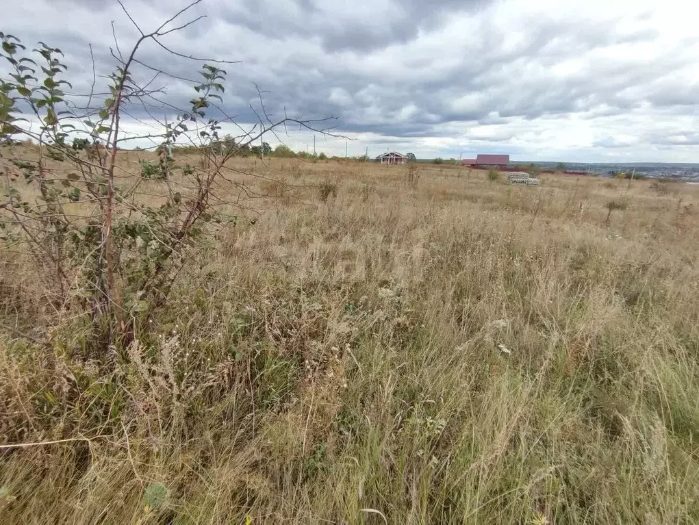 Участок в Воронежская область, Рамонский район, Новоживотинновское ... - Фото 1