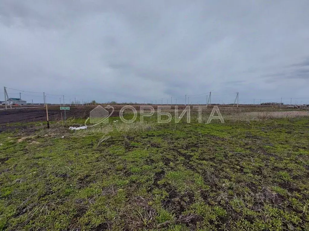 Участок в Тюменская область, Тюменский район, с. Кулига, Сказка кп ул. ... - Фото 0