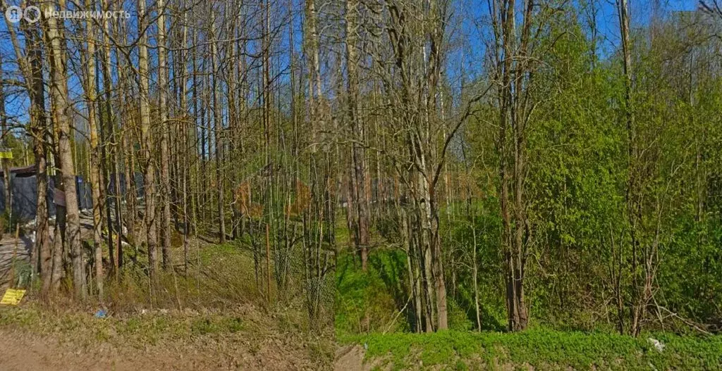 Участок в Выборгский район, Рощинское городское поселение, посёлок ... - Фото 1