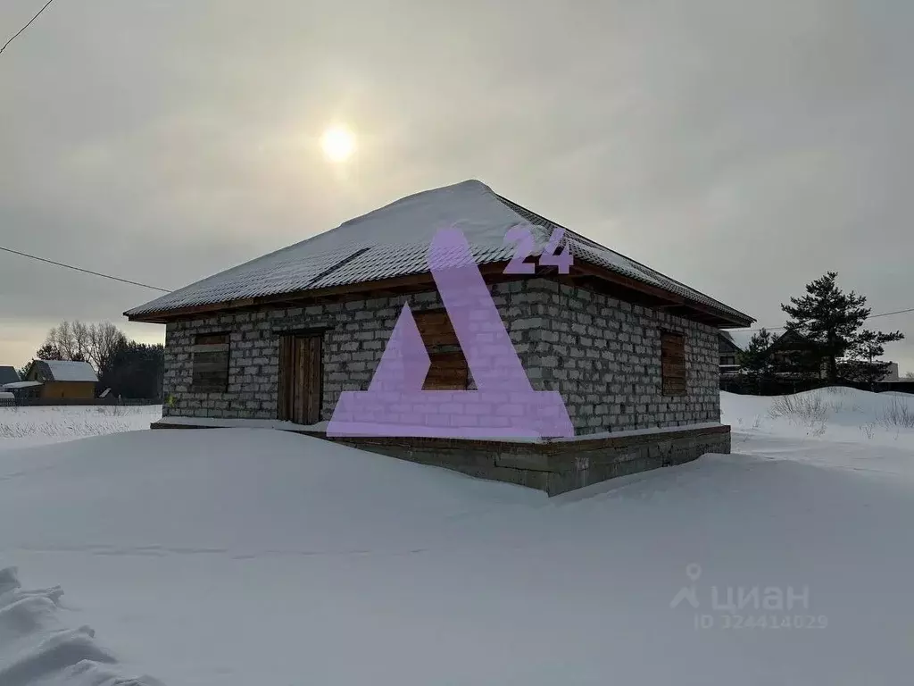 Дом в Алтайский край, Павловский район, с. Павловск Демидовская ул., ... - Фото 2