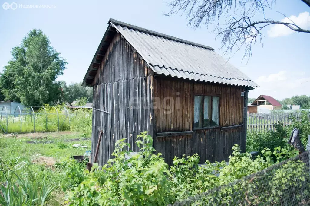 Участок в Бердск, садовое товарищество Ветеран, 3-я улица (6.5 м) - Фото 1