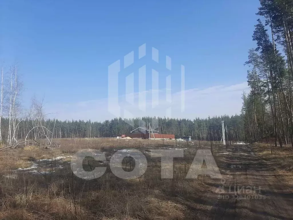 Участок в Воронежская область, Рамонский район, Новоживотинновское ... - Фото 1