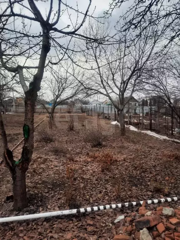 Дом в Саратовская область, Саратов Расцвет СНТ, проезд 20-й Загородный ... - Фото 0