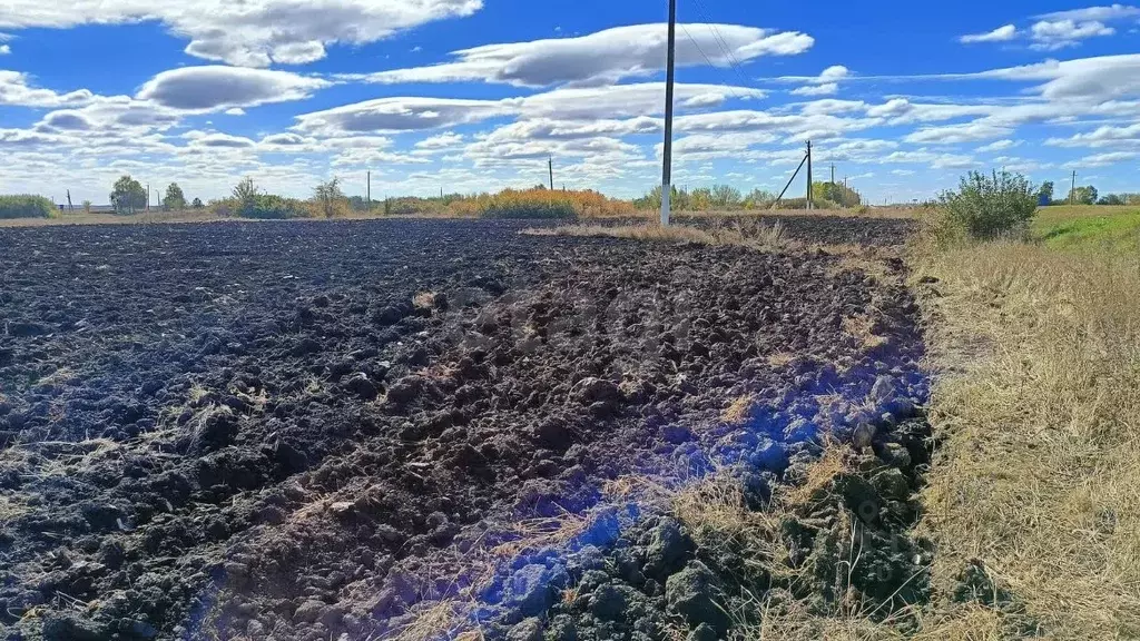 Участок в Белгородская область, Красногвардейский район, ... - Фото 1