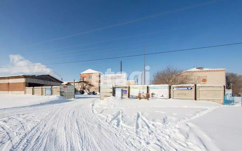 Склад в Курганская область, Шадринск Иртышская ул., 1А (13242 м) - Фото 2
