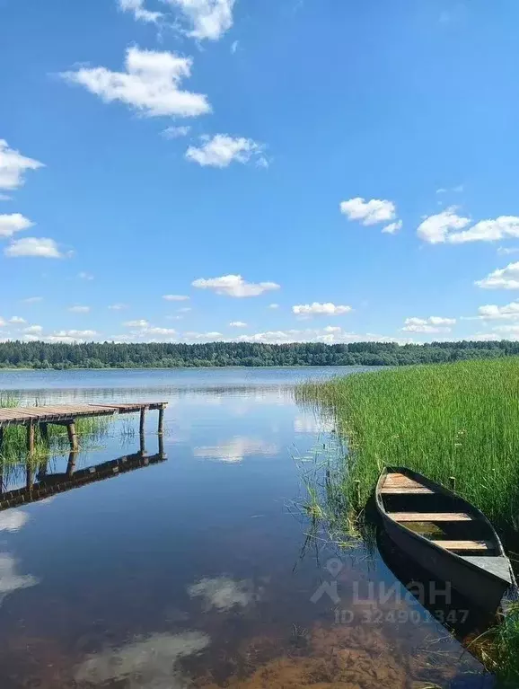 Участок в Ленинградская область, Гатчинский муниципальный округ, с. ... - Фото 1