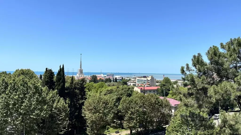 1-к кв. Краснодарский край, Сочи Центральный мкр, ул. Войкова, 20 ... - Фото 0