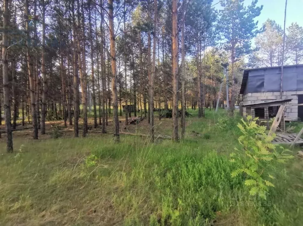 Участок в Алтайский край, Первомайский район, с. Зудилово  (10.0 сот.) - Фото 1