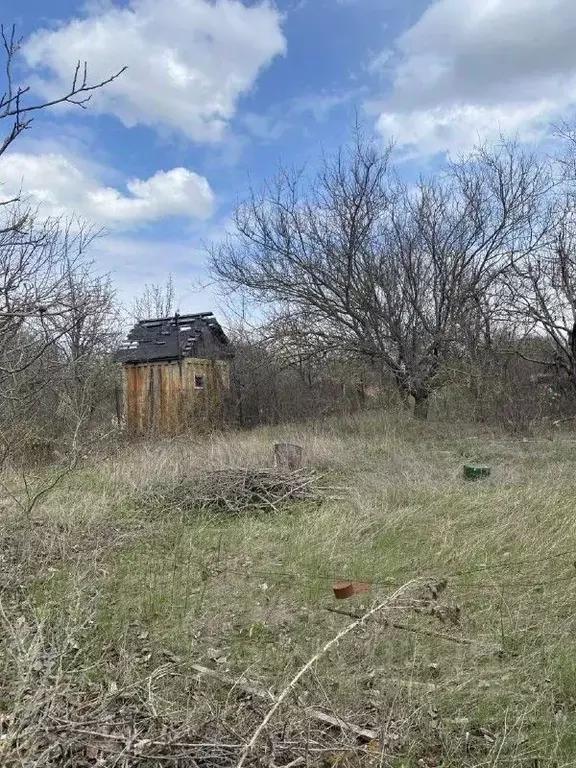 Участок в Ростовская область, Неклиновский район, с. Синявское, ... - Фото 1