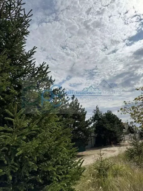 Участок в Саратовская область, с. Багаевка ул. Песочная (20.0 сот.) - Фото 1