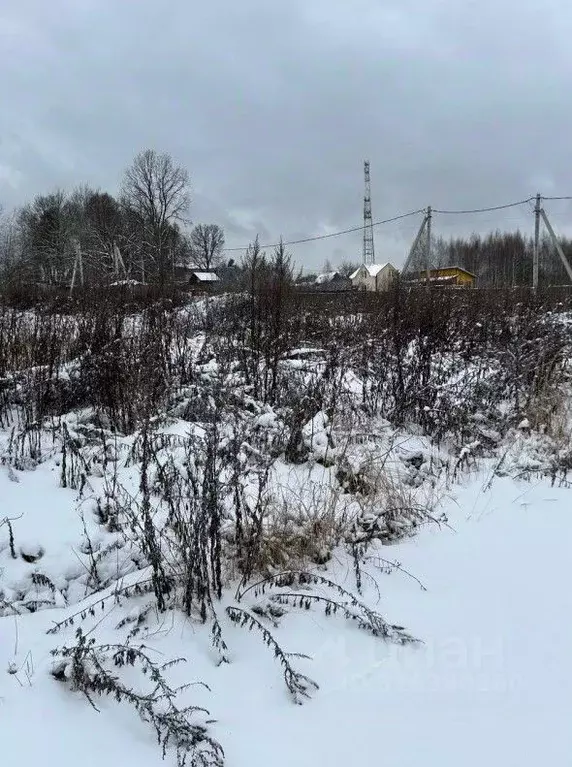 Участок в Московская область, Чехов муниципальный округ, пос. ... - Фото 1