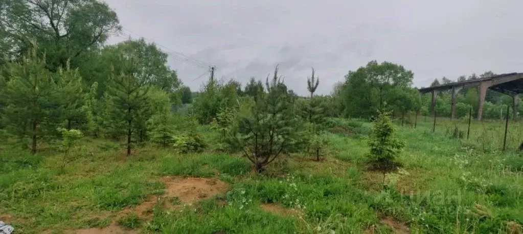 Участок в Московская область, Солнечногорск городской округ, д. ... - Фото 0