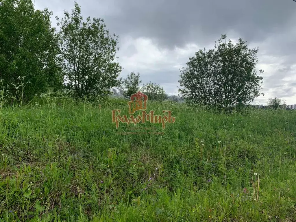 Участок в Московская область, Дмитровский муниципальный округ, д. ... - Фото 1