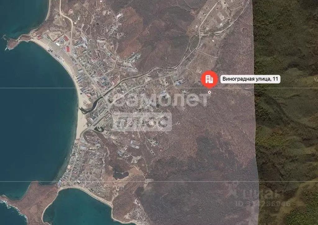 Участок в Приморский край, Хасанский муниципальный округ, с. Андреевка ... - Фото 1