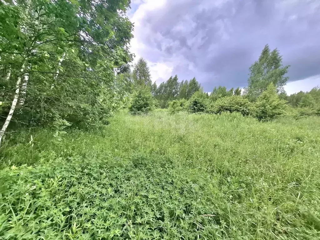 Участок в Смоленская область, Смоленск Славутич СНТ, 441 (12.5 сот.) - Фото 1
