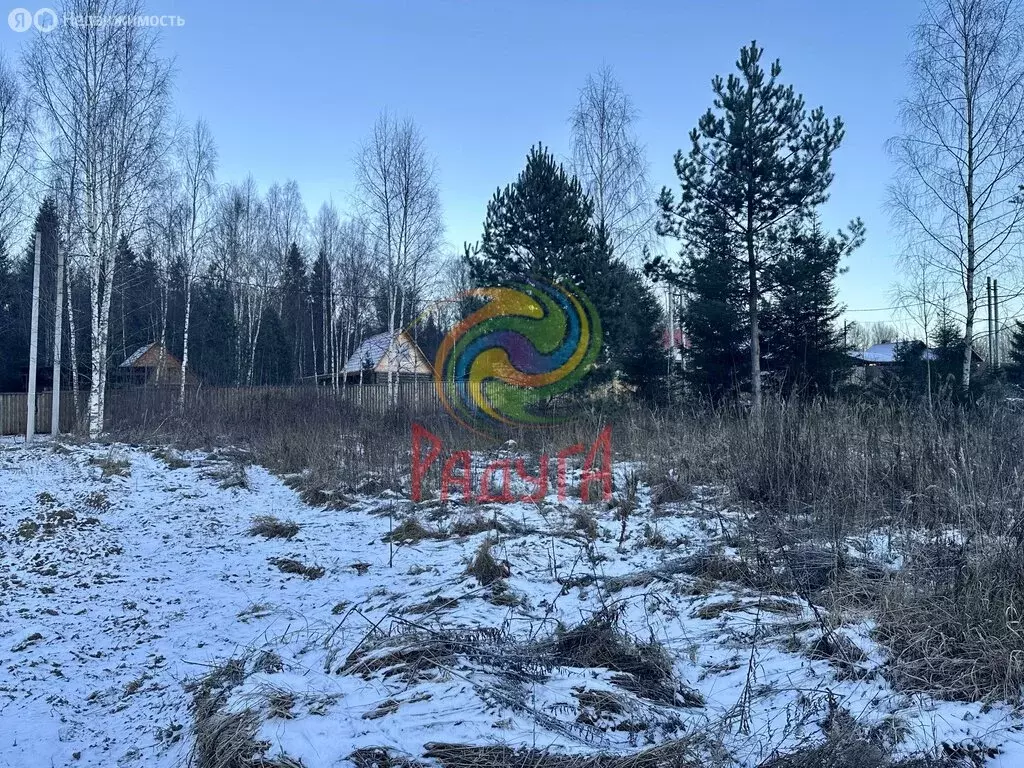 Участок в Ивановский район, Балахонковское сельское поселение, деревня ... - Фото 2