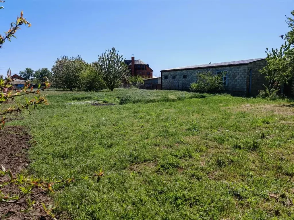 Участок в Краснодарский край, Темрюкский район, Вышестеблиевское ... - Фото 1