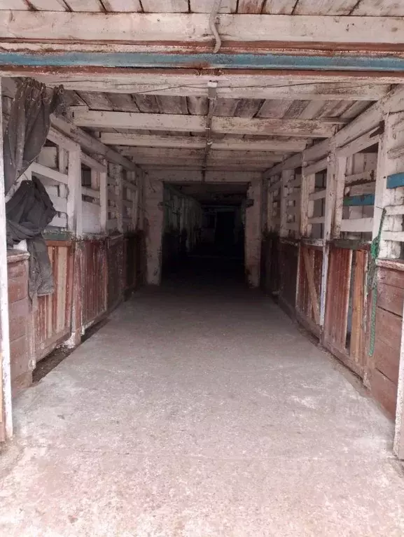 Помещение свободного назначения в Хакасия, Абакан ул. Маршала Жукова, ... - Фото 2