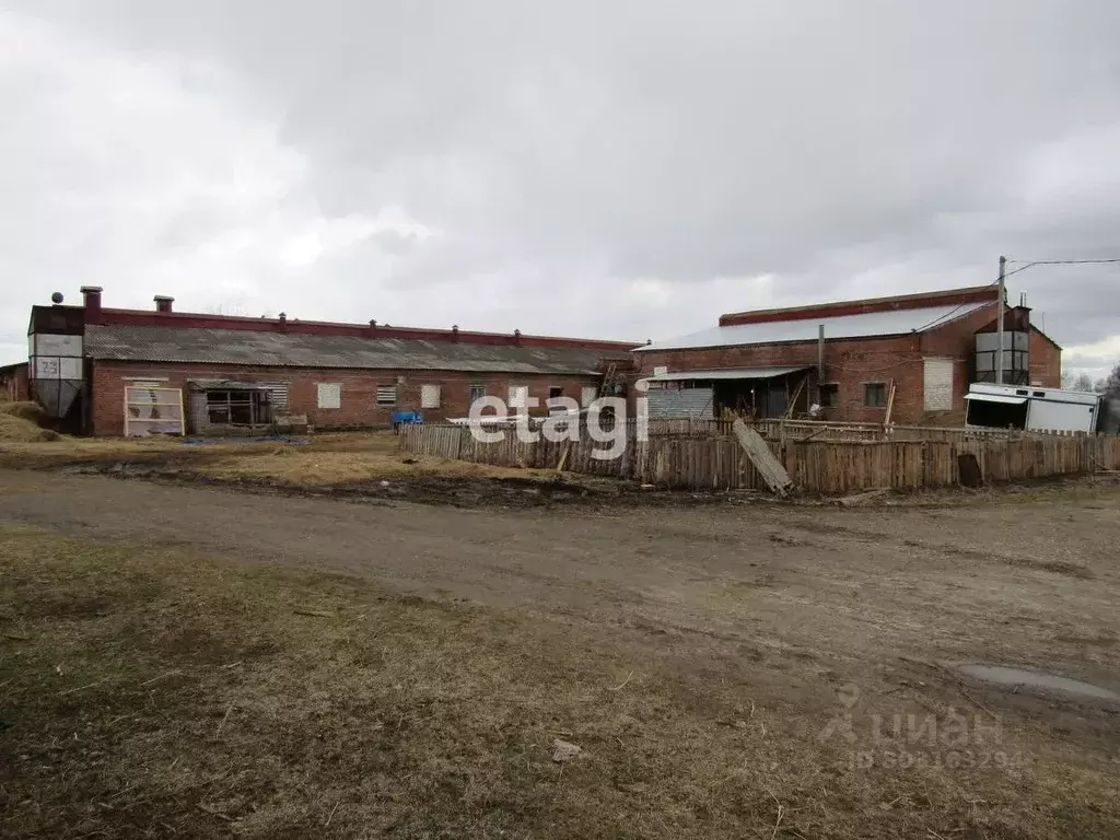 Производственное помещение в Владимирская область, Петушинский район, ... - Фото 0