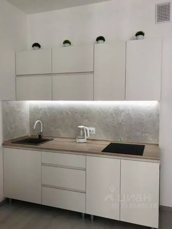 Студия Санкт-Петербург аллея Арцеуловская, 17 (24.4 м) - Фото 0