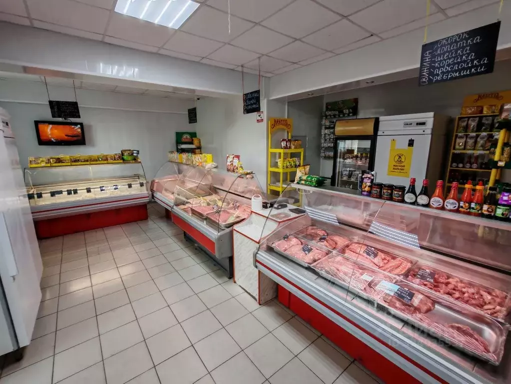 Помещение свободного назначения в Челябинская область, Копейск просп. ... - Фото 1