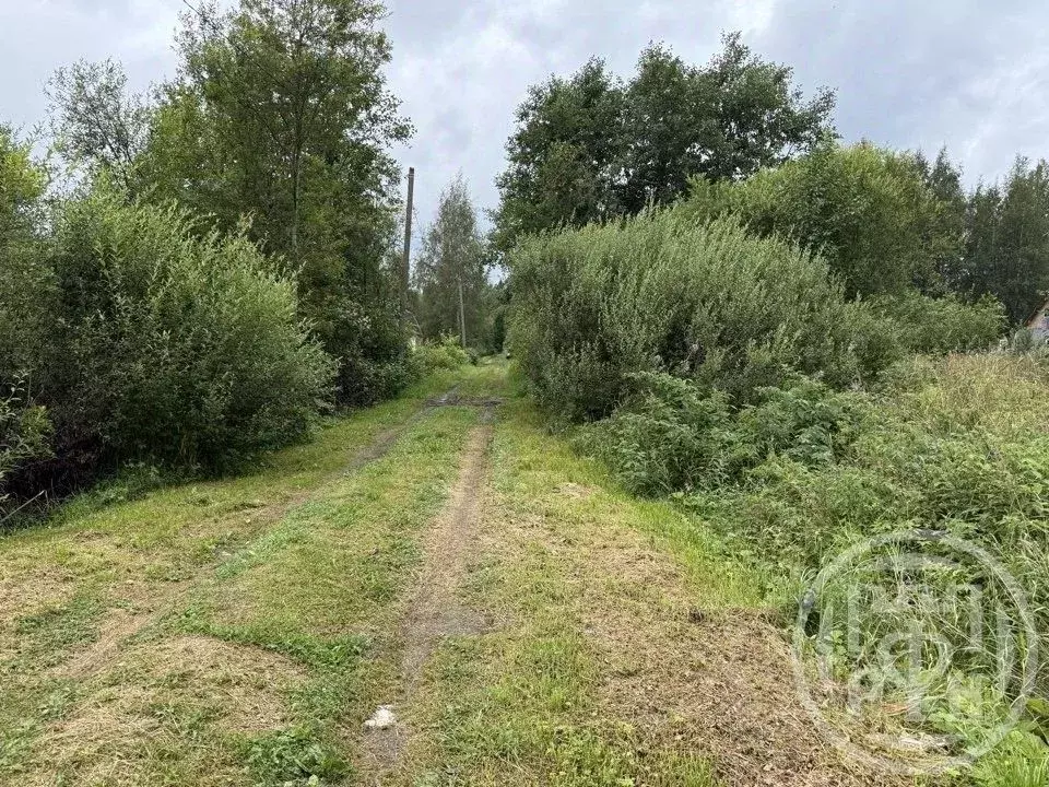 Участок в Ленинградская область, Кировский район, Назиевское городское ... - Фото 1