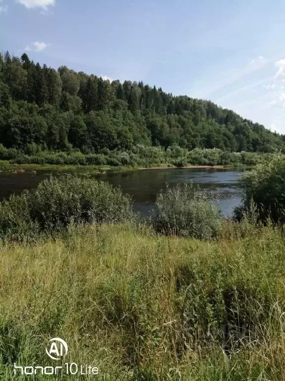 Участок в Новгородская область, Маловишерский район, Бургинское с/пос, ... - Фото 0