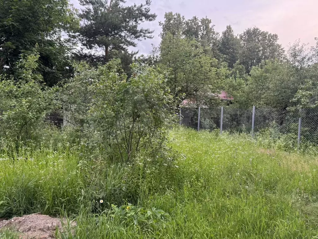 Дом 50 м на участке 4 сот. - Фото 1