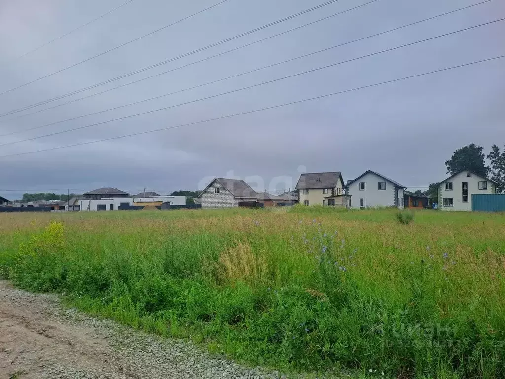 Участок в Новосибирская область, Новосибирский район, Морской ... - Фото 2