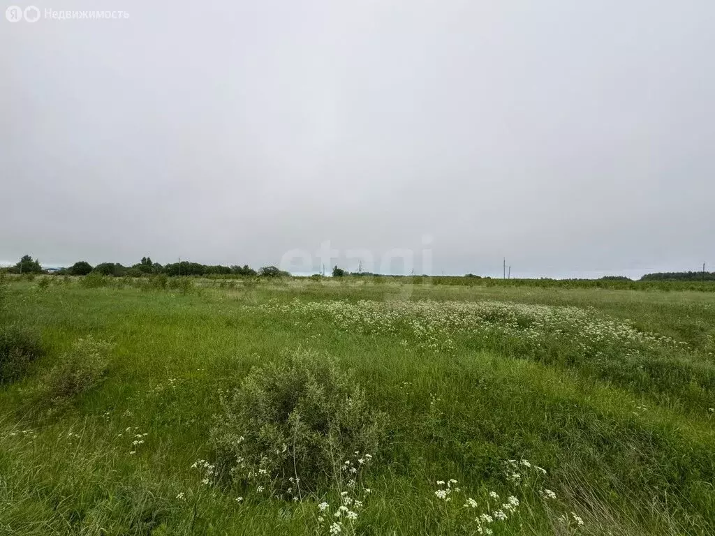 Участок в Красносельский район, Шолоховское сельское поселение, ... - Фото 2