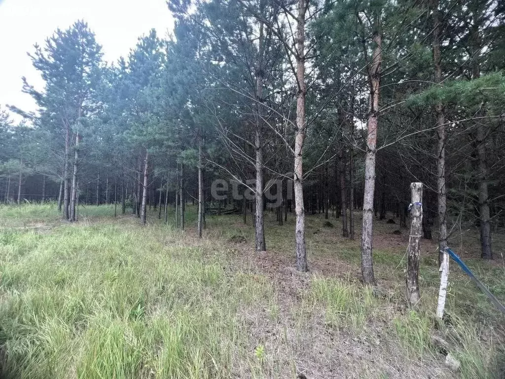 Участок в Курганская область, Кетовский муниципальный округ, ... - Фото 2